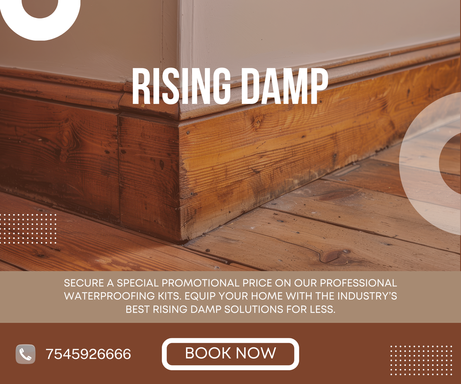 Rising Damp Effects