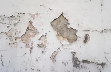 Best Waterproofing Service in India