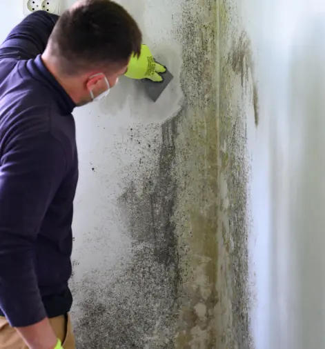 Best Waterproofing Service in India
