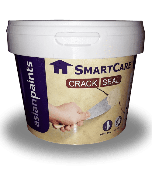 Asian Paint waterproofing in Patna